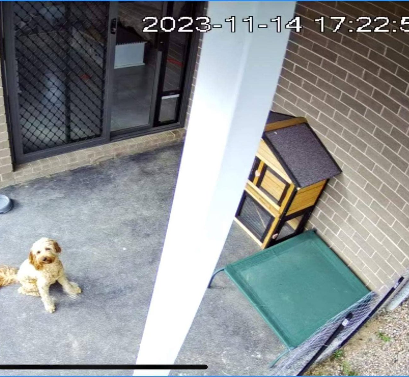 ESER Electrical technician installing security camera