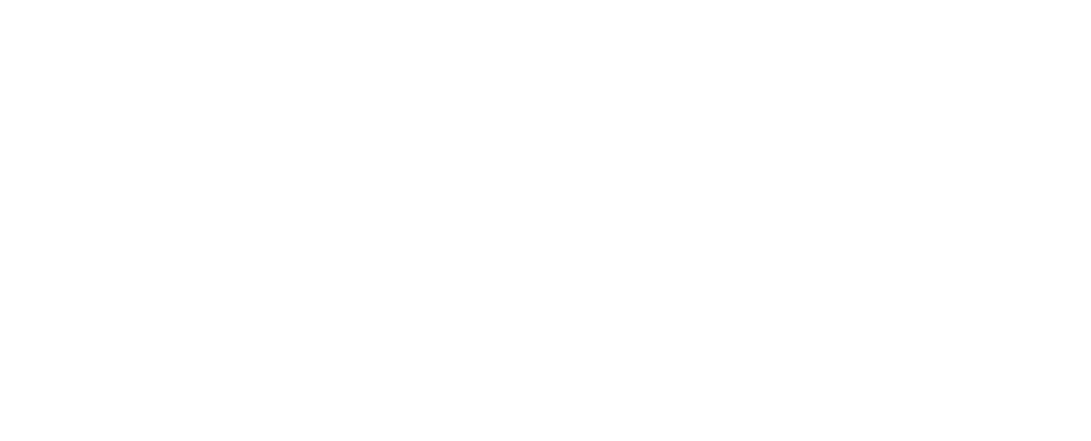 ESER Electrical logo